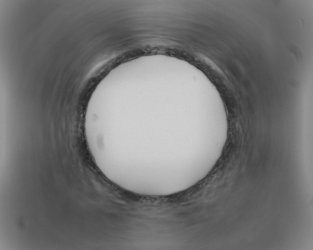 X0000113870775200910221334