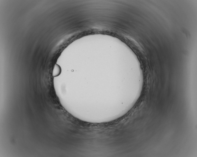 X0000113870776200910221334