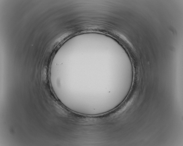 X0000113870777200910221334