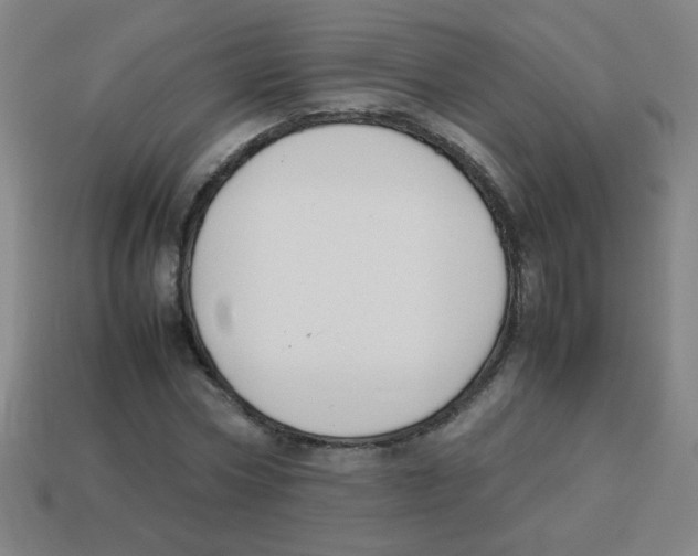 X0000113870778200910221334