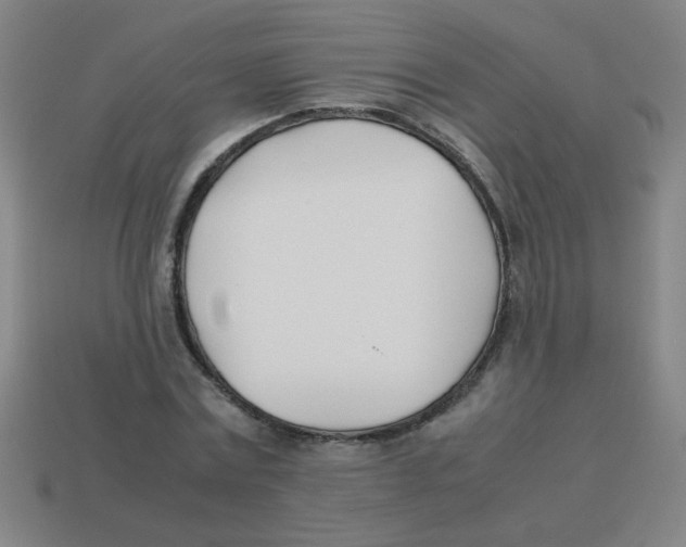 X0000113870779200910221334