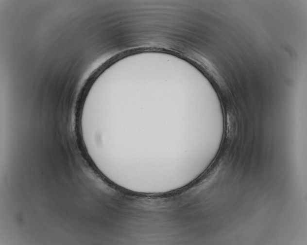 X0000113870780200910221334