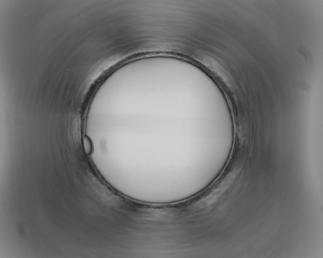 X0000113870781200910221334