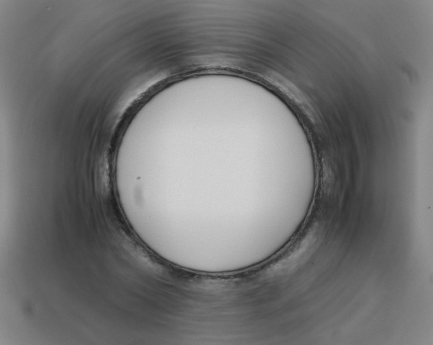 X0000113870782200910221334