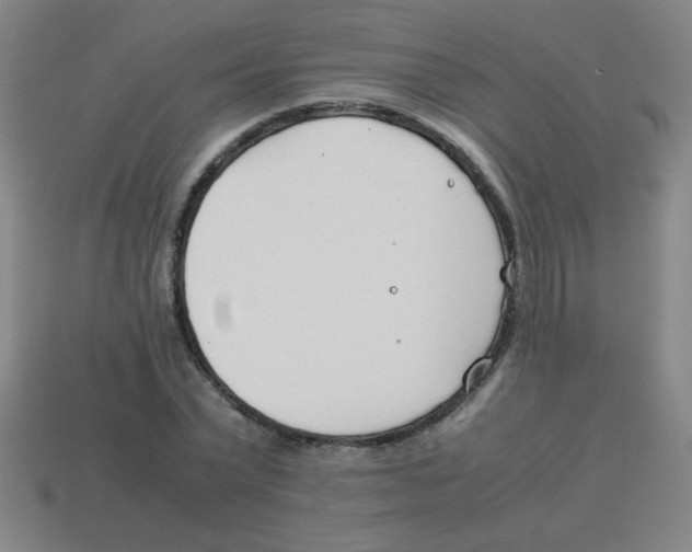 X0000113870783200910221334