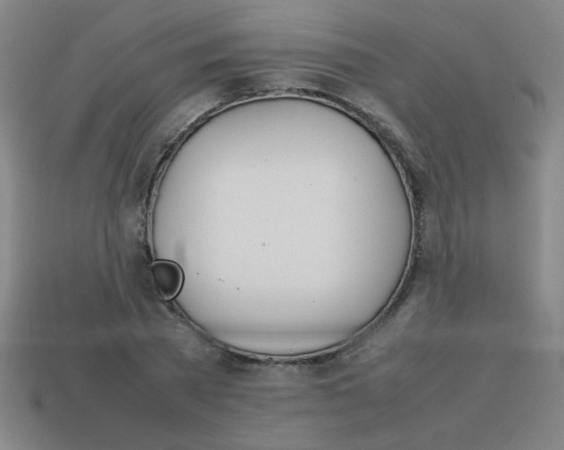 X0000113870785200910221334