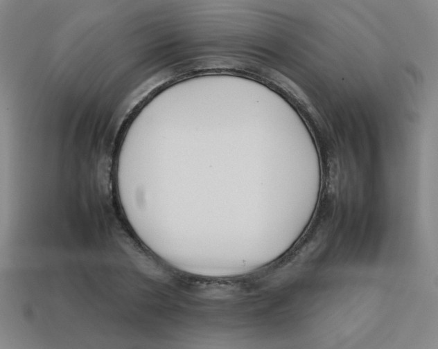 X0000113870786200910221334