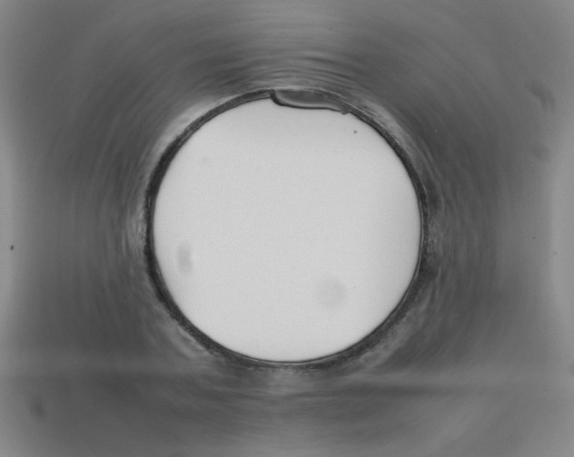 X0000113870787200910221334