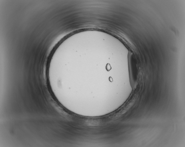 X0000113870788200910221334