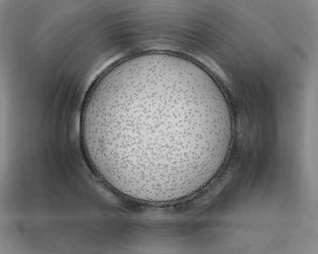 X0000113870790200910221334