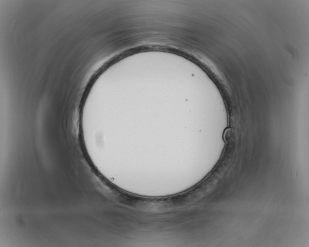 X0000113870791200910221334