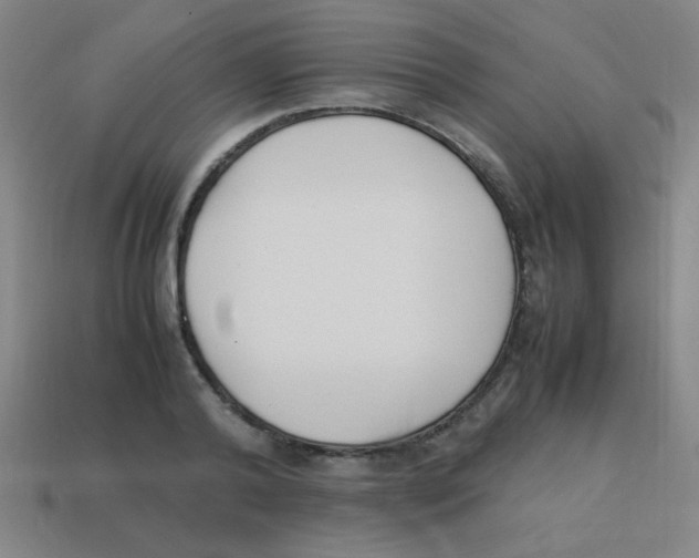 X0000113870792200910221334