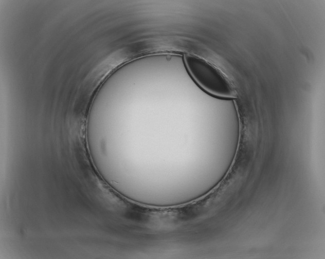 X0000113870793200910221334