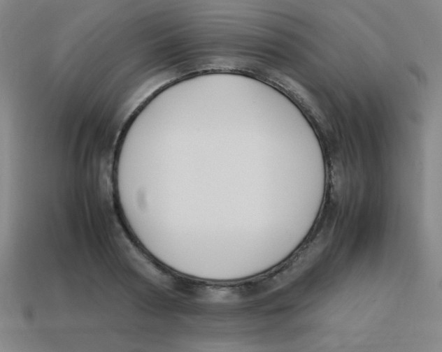 X0000113870794200910221334