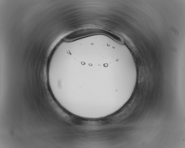 X0000113870796200910221334