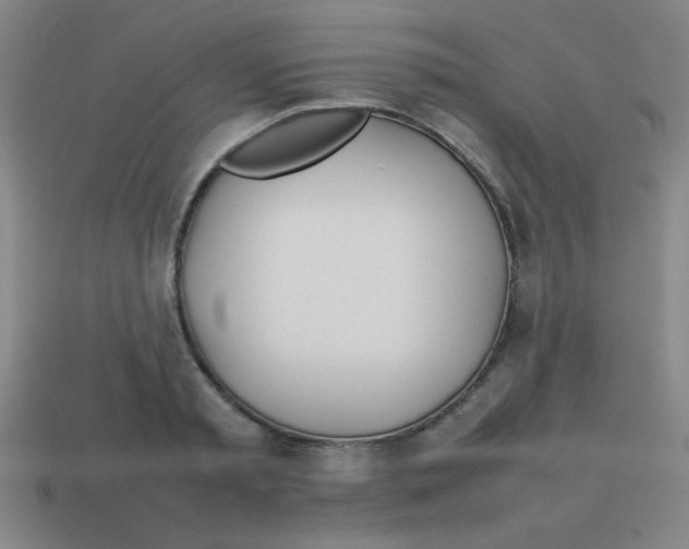 X0000113870797200910221334
