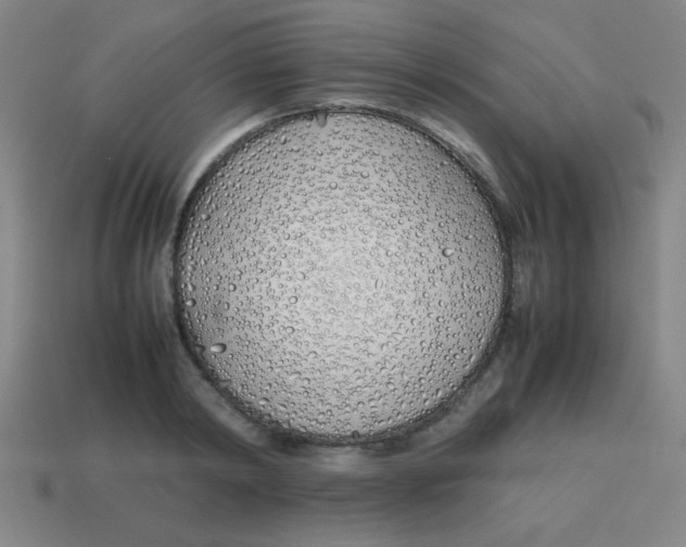 X0000113870798200910221334