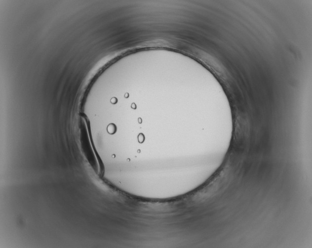 X0000113870800200910221334