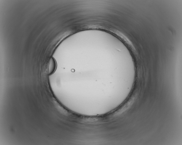 X0000113870801200910221333