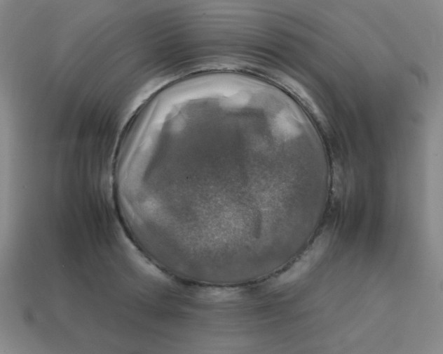 X0000113870802200910221333