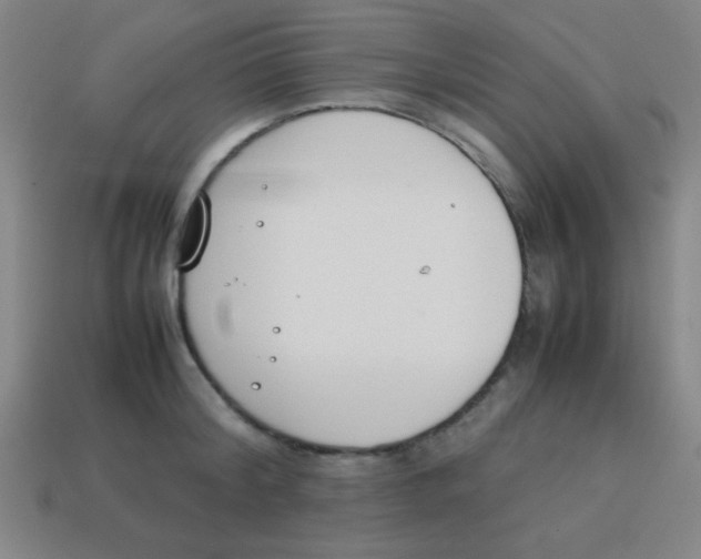 X0000113870804200910221333