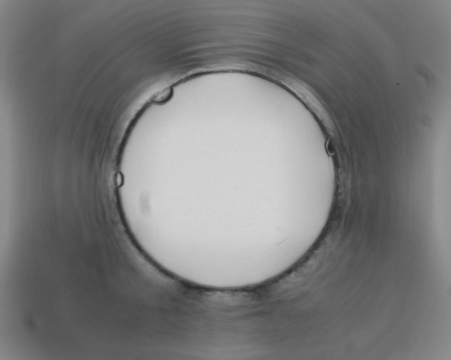 X0000113870805200910221333