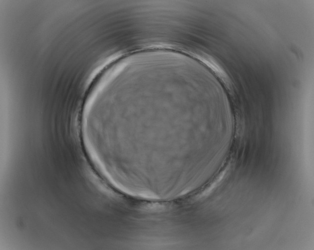 X0000113870806200910221333
