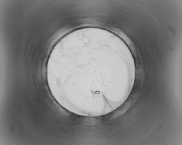 X0000113870807200910221333