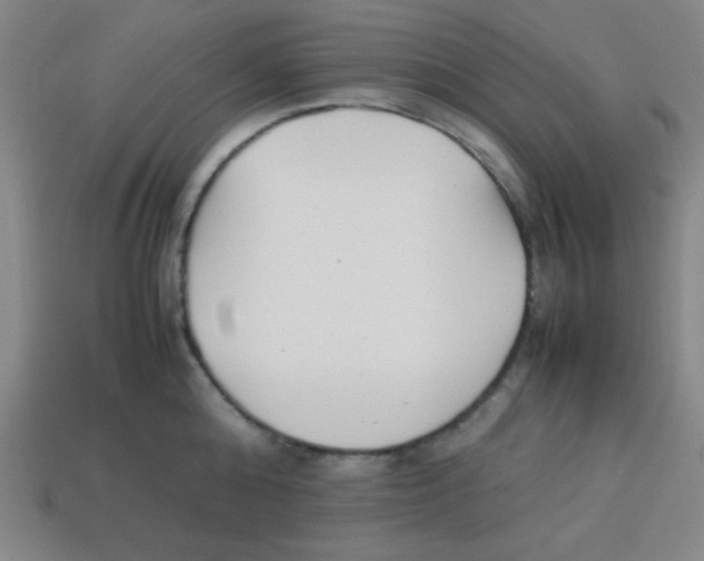 X0000113870808200910221333