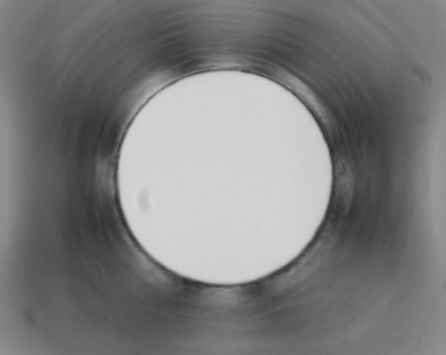 X0000113870810200910221333