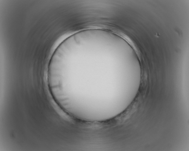 X0000113870811200910221333