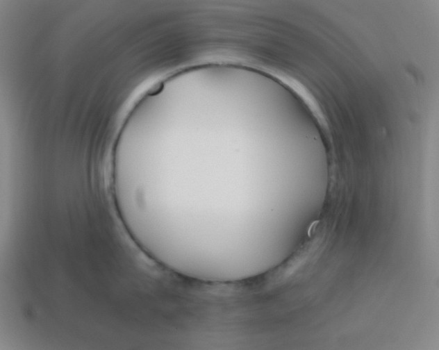 X0000113870815200910221333