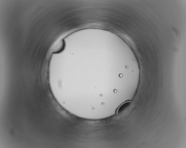 X0000113870816200910221333