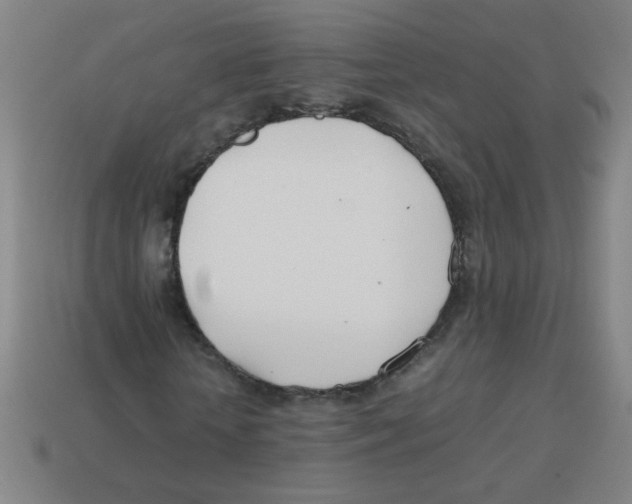 X0000113870818200910221333
