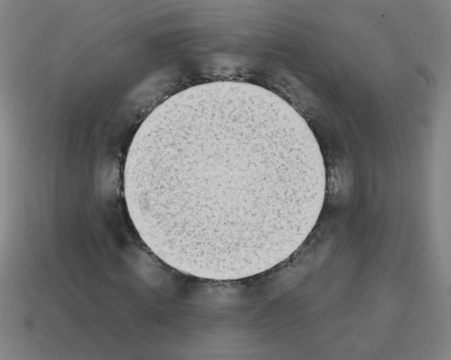 X0000113870820200910221333