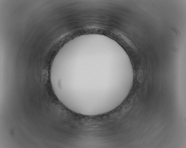 X0000113870821200910221333