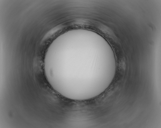 X0000113870822200910221333