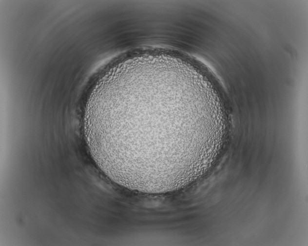 X0000113870823200910221333