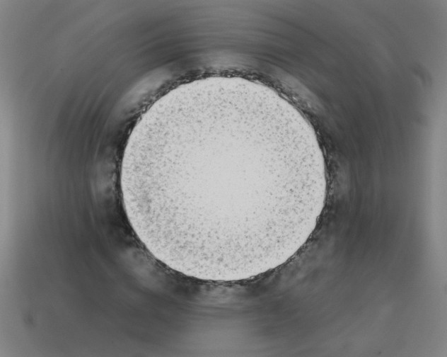 X0000113870824200910221333