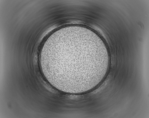 X0000113870827200910221333