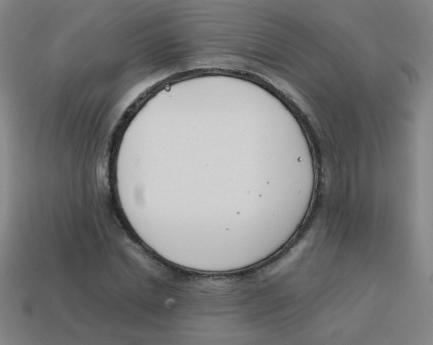 X0000113870830200910221333
