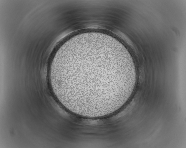 X0000113870831200910221333
