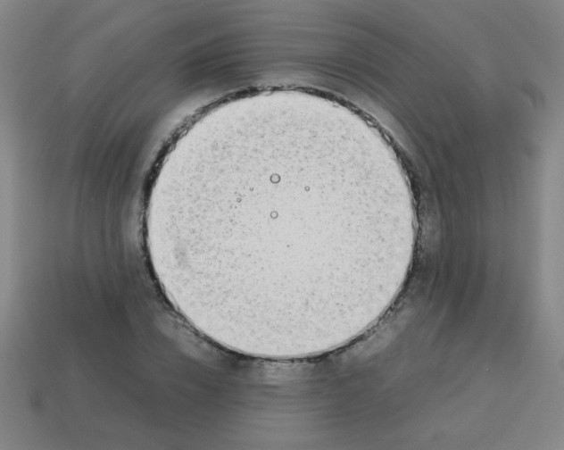 X0000113870832200910221333