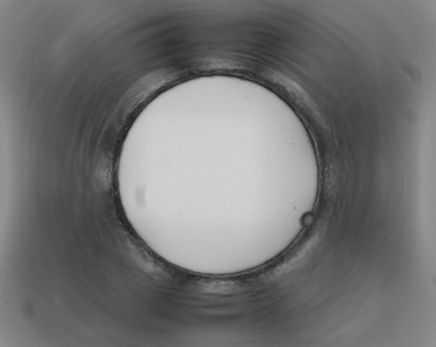 X0000113870833200910221333