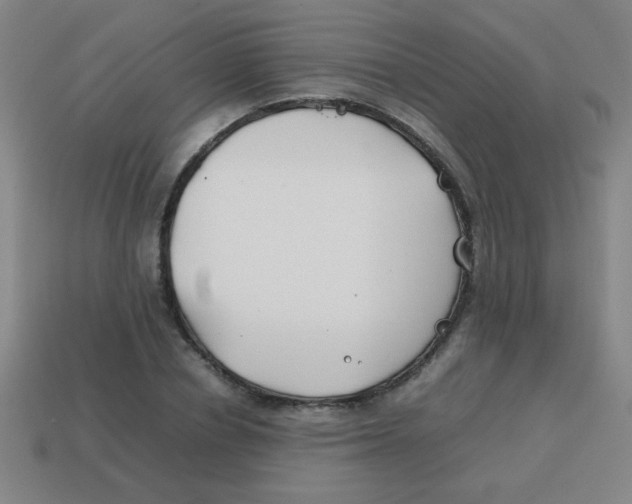 X0000113870834200910221333