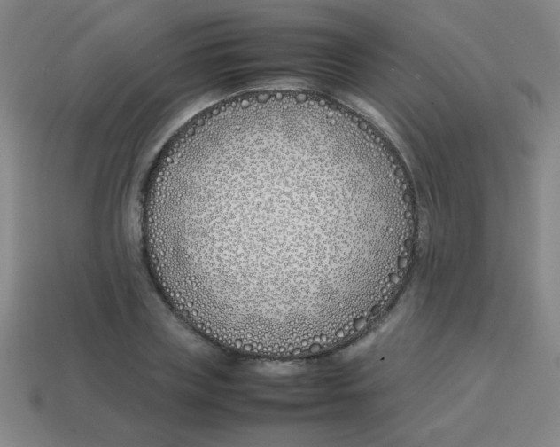 X0000113870835200910221333
