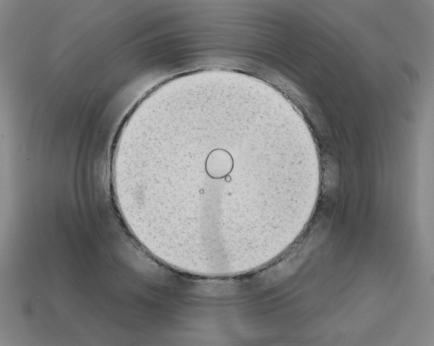 X0000113870836200910221333
