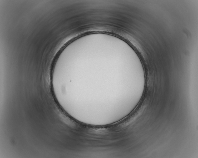 X0000113870837200910221333