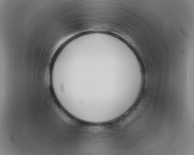 X0000113870838200910221333