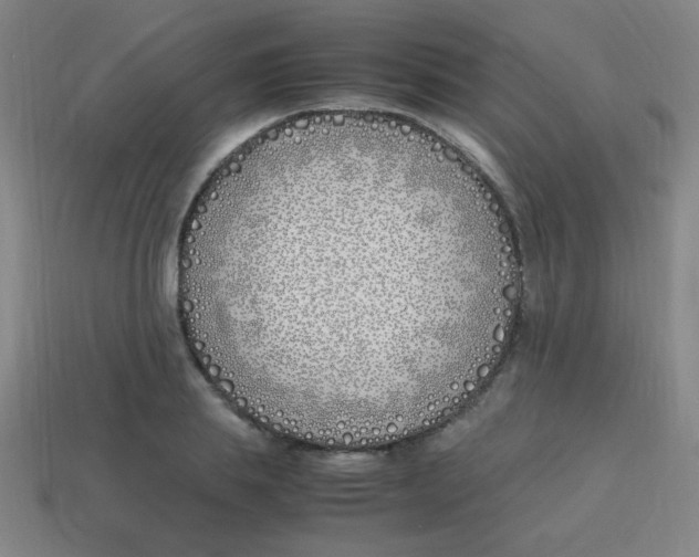 X0000113870839200910221333